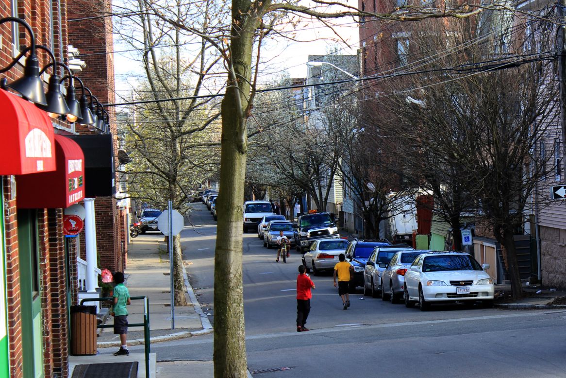 Salem Awarded $20,000 to Plant New Trees