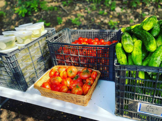 Salem’s Green Thumb Nourishes Our Bellies and Our Planet