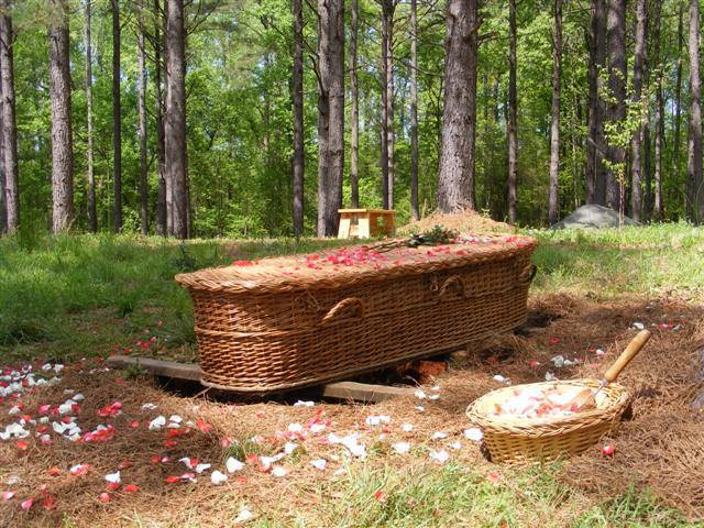 Green Cemeteries and Green Burials: Sustainable Alternatives to Traditional Funerals